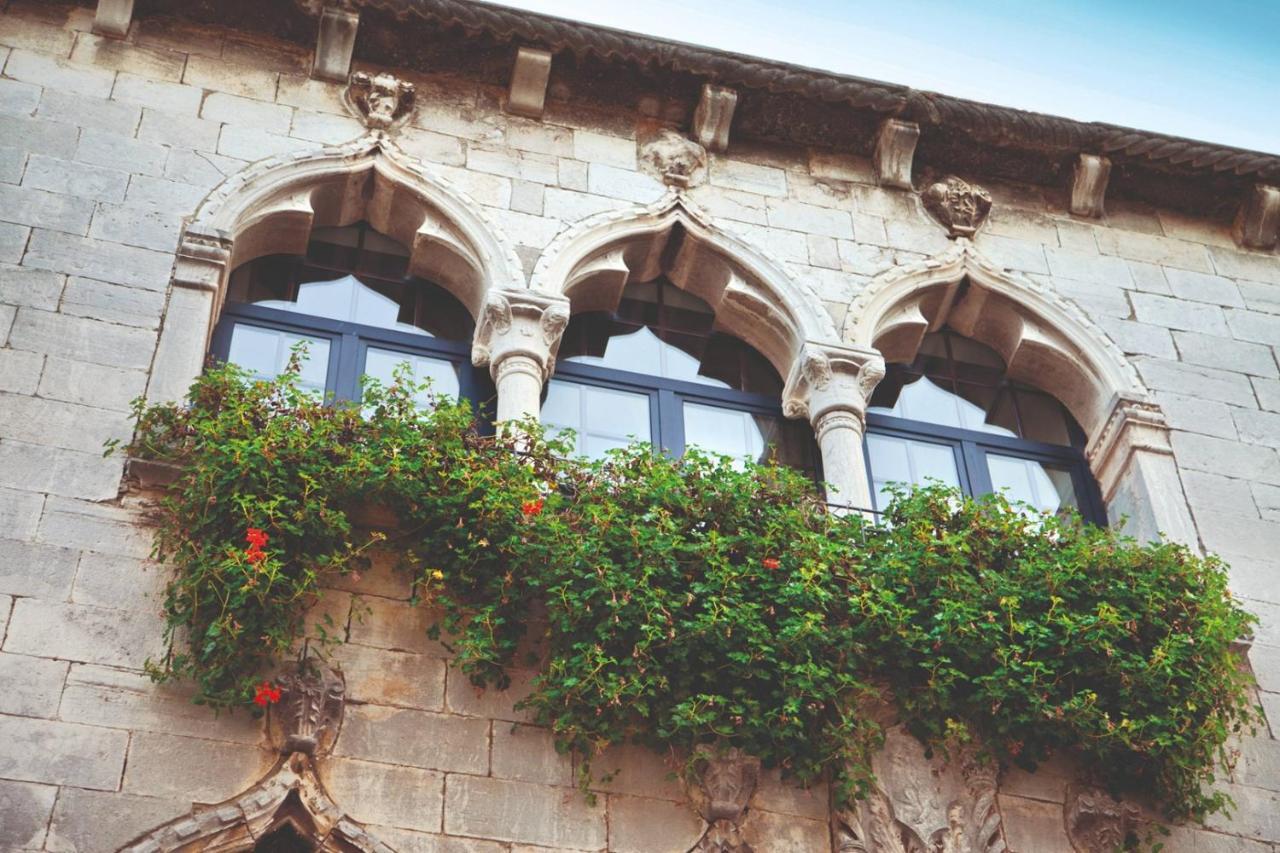 Sain With Garden Terrace Near The 3*